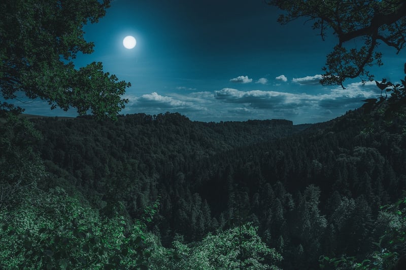 Moon Accessory